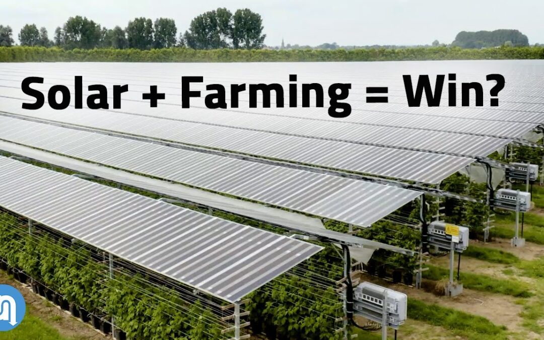 Solar Panels Plus Farming? Agrivoltaics Explained